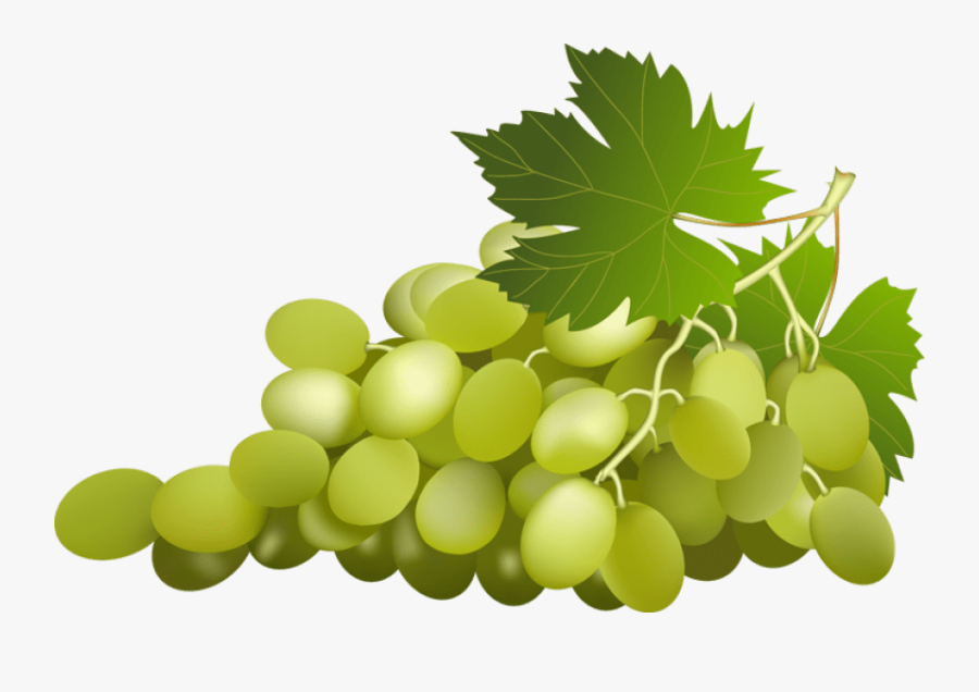 Download Green Grapes Clip Art Png For Designing Use - Green Grapes ...