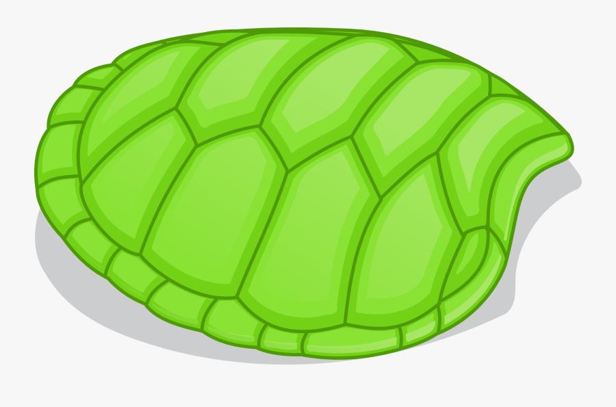 Tortoise Patterns Shell Free - Turtle Shell Clipart, Transparent Clipart
