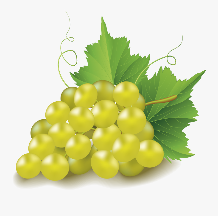 Grape Clip Art Transprent - Chardonnay Grapes White Background, Transparent Clipart