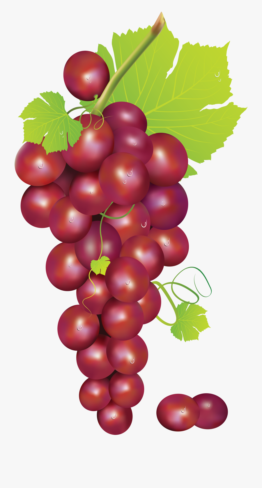 Grapes Clipart Black And White Free Images Image - Red Grapes Clipart Png, Transparent Clipart