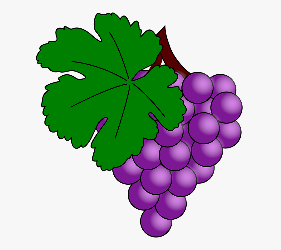 Free Vector Grape With Vine Leaf Clip Art, Transparent Clipart