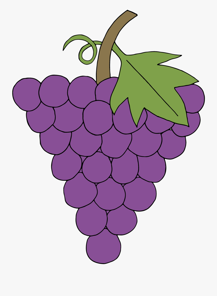 Transparent Grape Clipart - Grape, Transparent Clipart