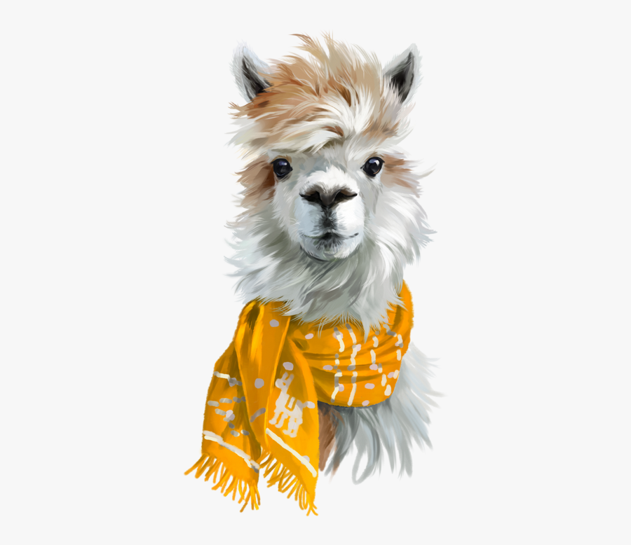 Alpaca With Red Scarf, Transparent Clipart