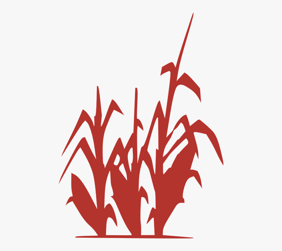 Corn Plant Field Silhouette Red Spring Grow - Black And White Corn Stock, Transparent Clipart