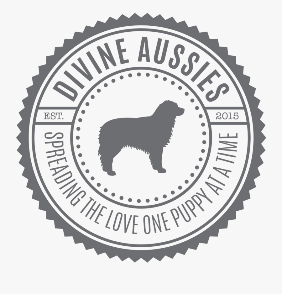 Australian Shepherd Average Size Coloring Page, Printable - Vector Graphics, Transparent Clipart