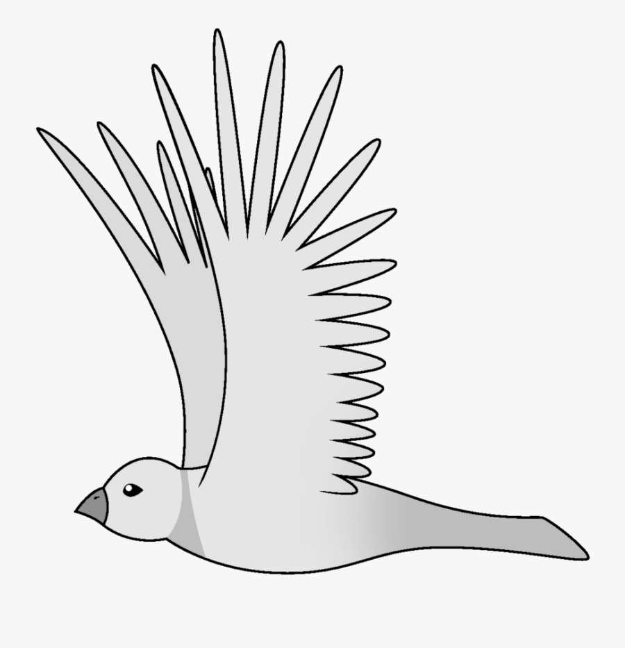 Moving Photos Of Birds Flying Animated - Line Art, Transparent Clipart
