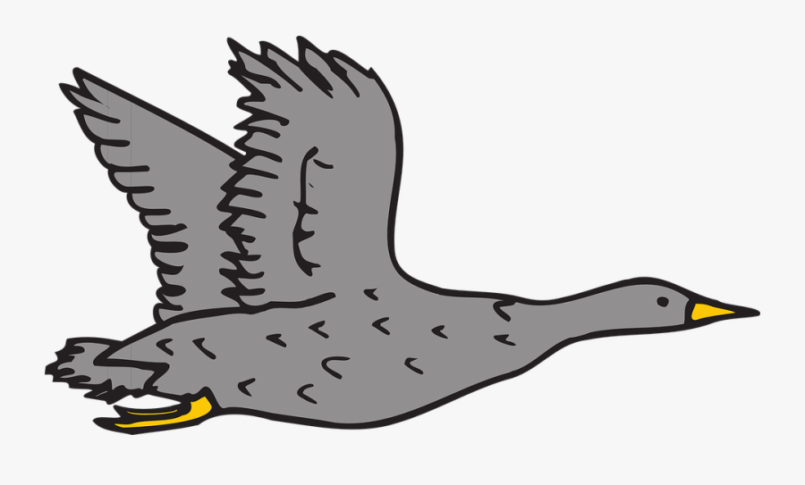 Transparent Geese Flying Png - Gray Goose Clip Art, Transparent Clipart