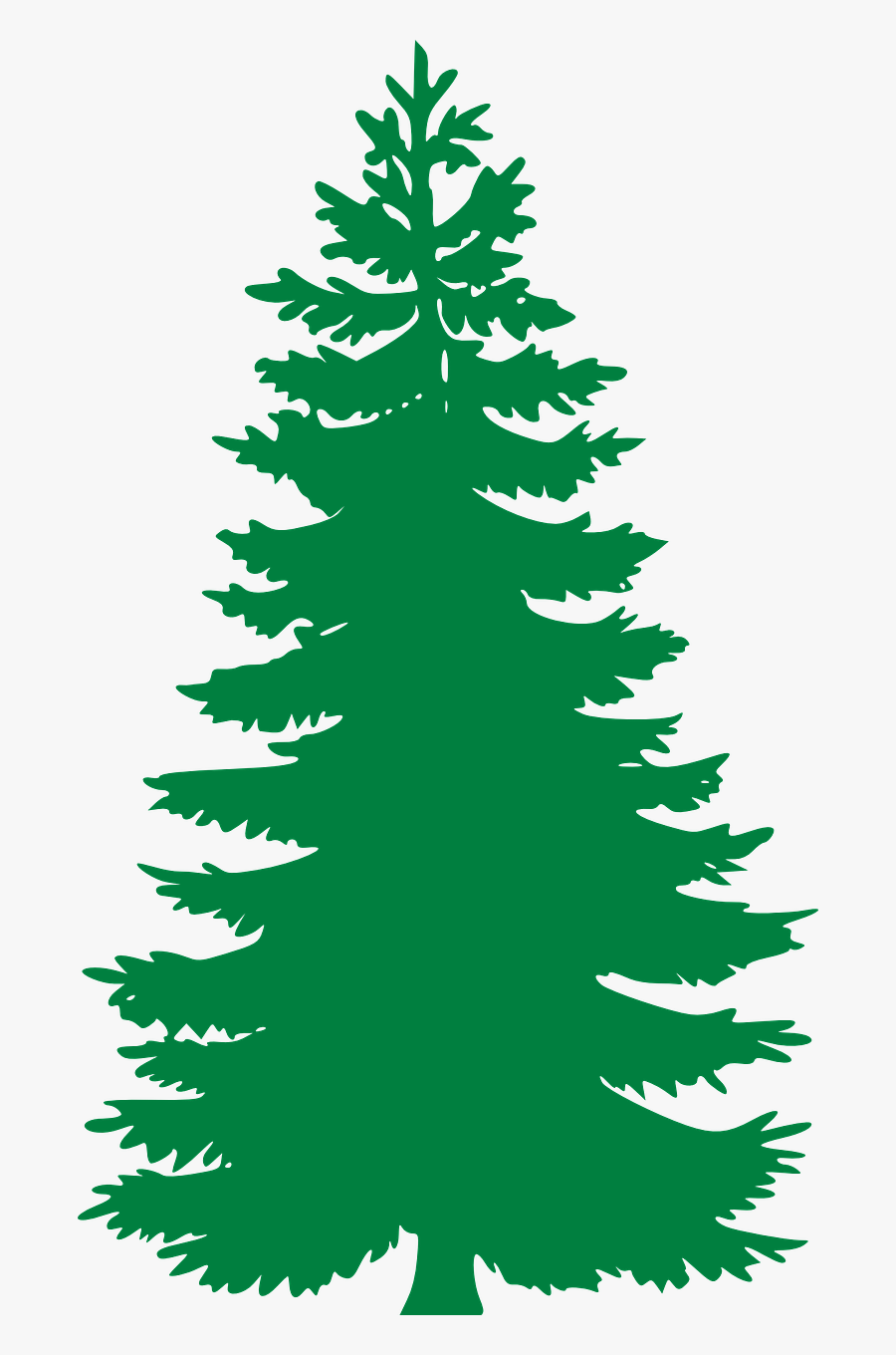 Free Image On Pixabay - Black And White Pine Tree, Transparent Clipart