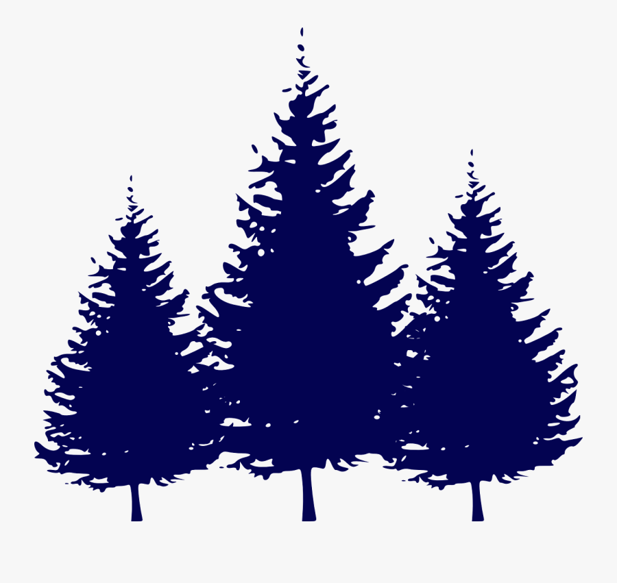 Fir Tree Clipart Conifer Tree - Silhouette Evergreen Tree Png, Transparent Clipart