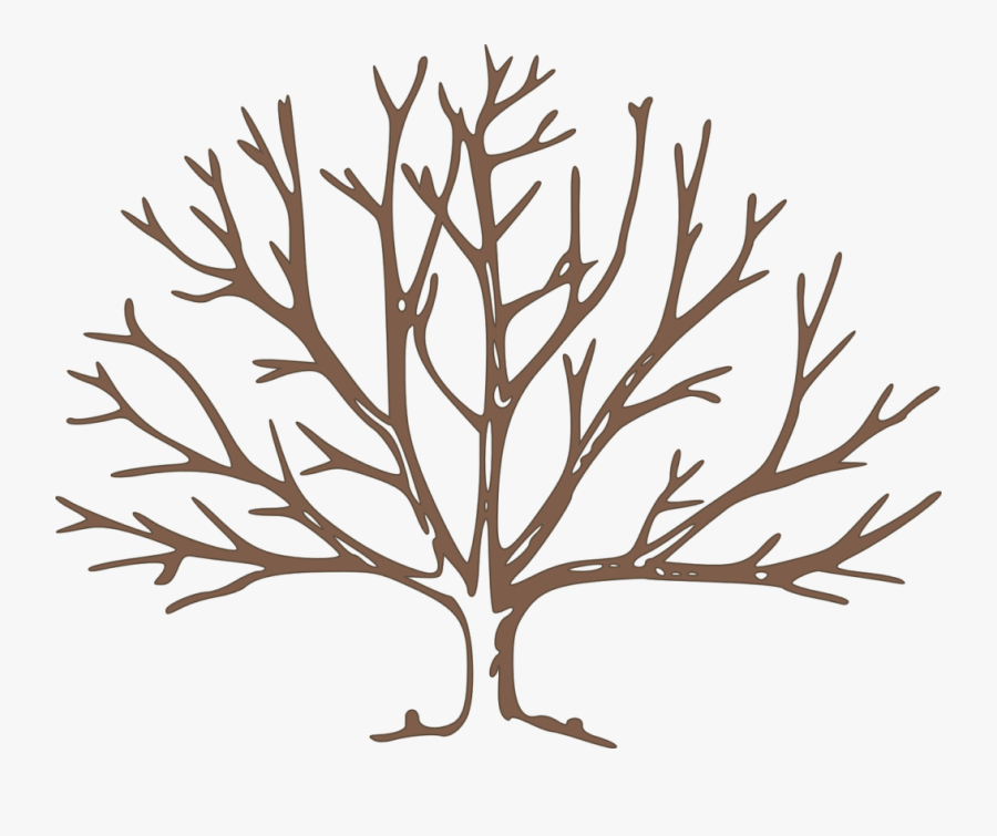 Null - Animated Tree With Branches, Transparent Clipart