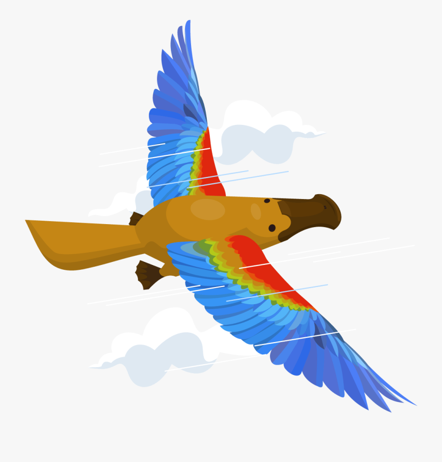 How Do I Fly The Platypus & Grow My Business - Flying Platypus, Transparent Clipart
