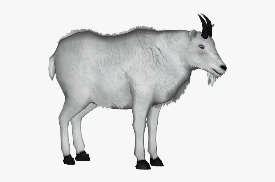 Mountain Goat 4 - Mountain Goat No Background, Transparent Clipart