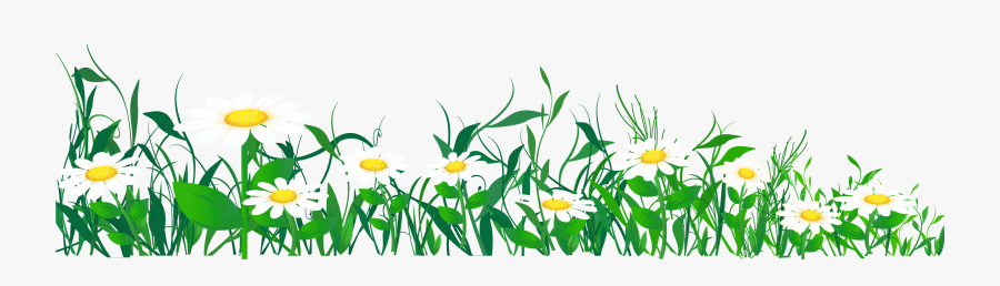 Meadow - Daisies Clipart Png, Transparent Clipart