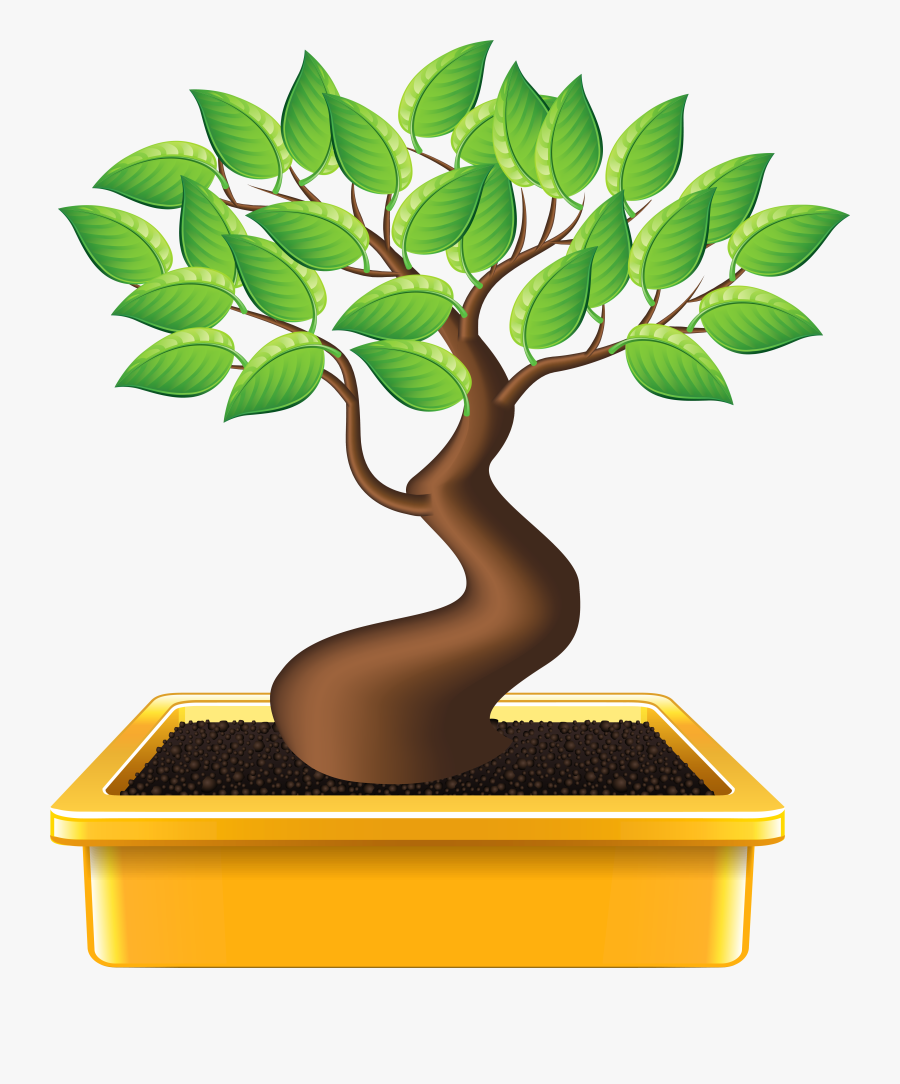 Bonsai Tree Png Clipart, Transparent Clipart