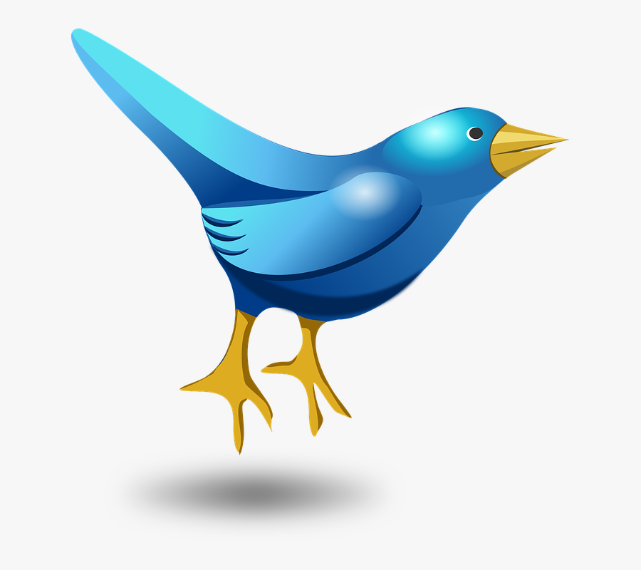 Twitter, Tweet, Bird, Funny, Cute, Blue, Messaging - Free Cartoon Bird Transparent, Transparent Clipart