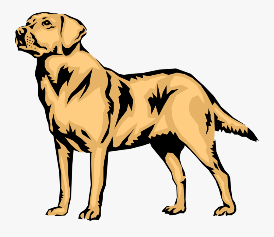 Vector Illustration Of Family Pet Golden Labrador Retriever - Labrador Retriever Vector Png, Transparent Clipart