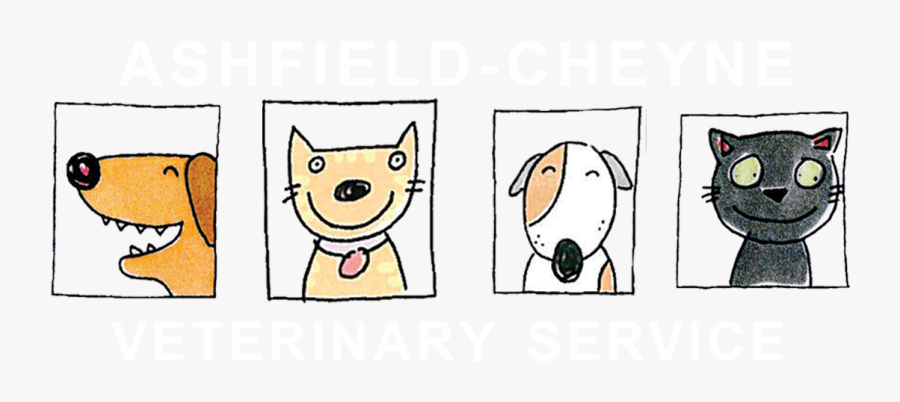 Clip Art Cartoon Veterinary - Cartoon, Transparent Clipart