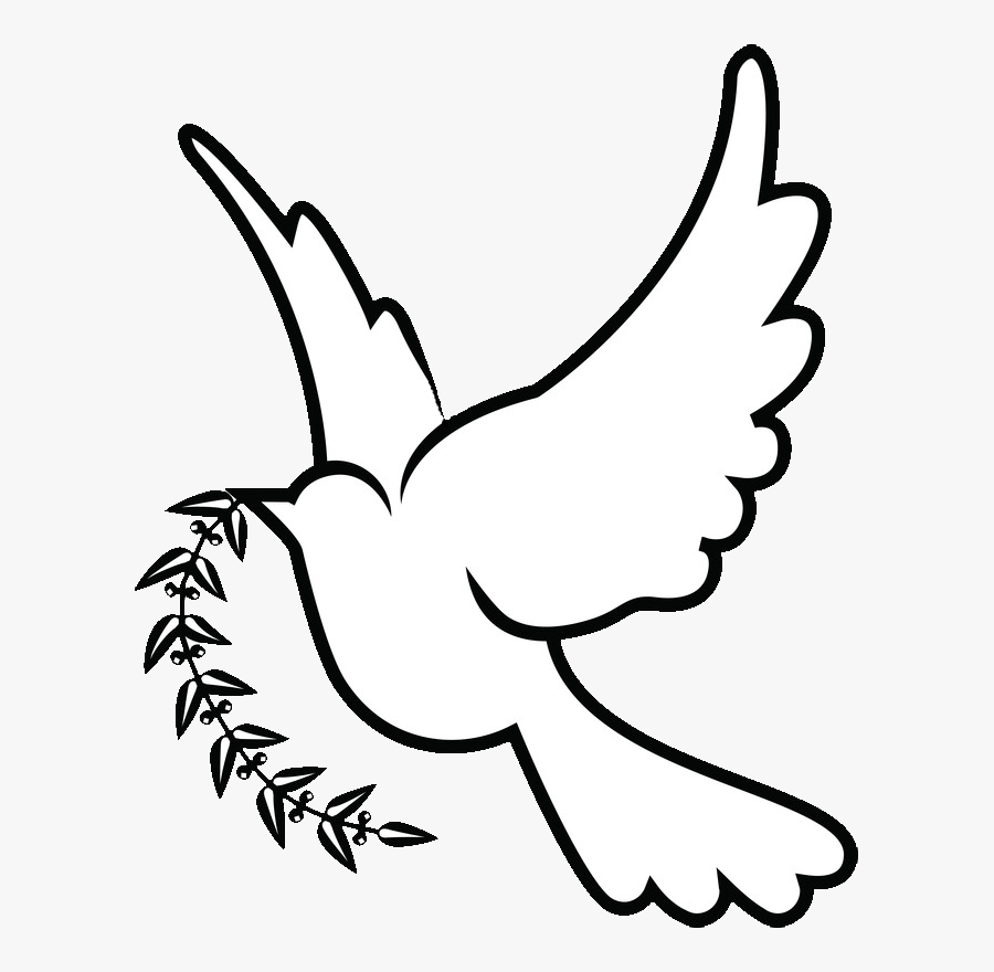 Columbidae Christianity Symbols As Dove Doves Clipart - White Dove Drawing Png, Transparent Clipart