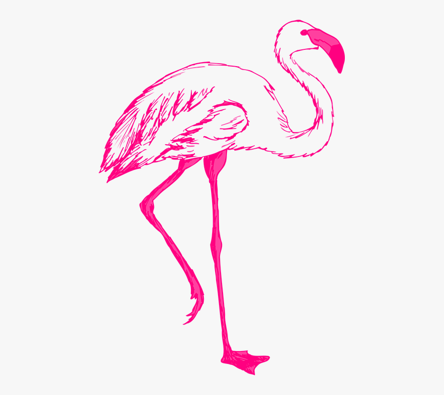 Pink Bird Wings Flamingo Long Neck Legs Feathers- - Clipart Flamingo Art, Transparent Clipart