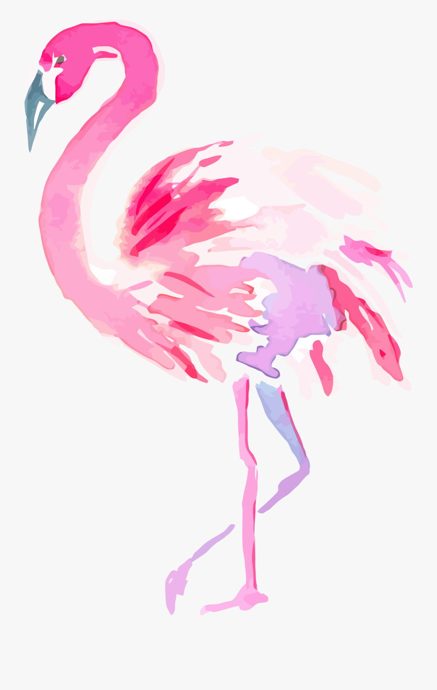 Flamingo Clipart Png - Greater Flamingo, Transparent Clipart