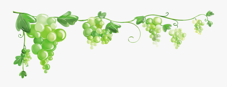 Grape Clip Art - Grape Border Transparent, Transparent Clipart