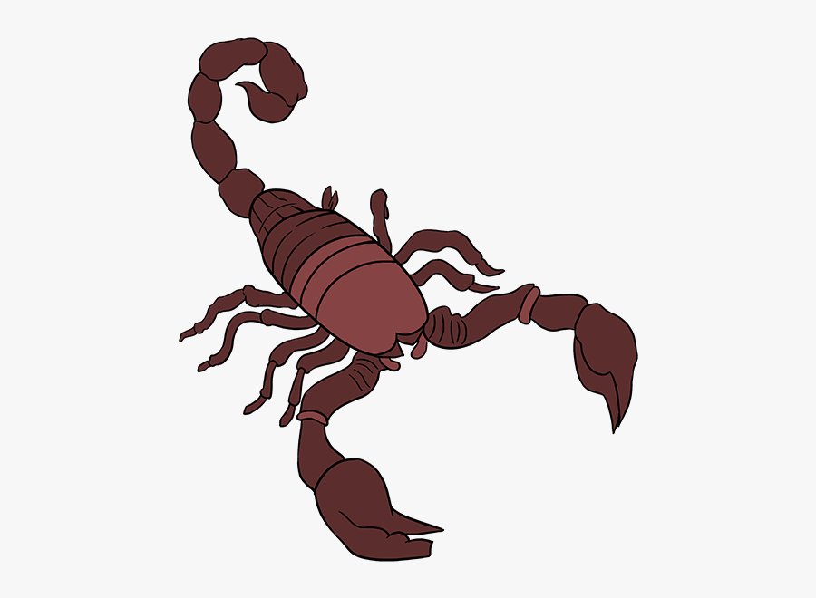 Drawing Scorpion Step By - Step By Step Drawing Of A Scorpion, Transparent Clipart