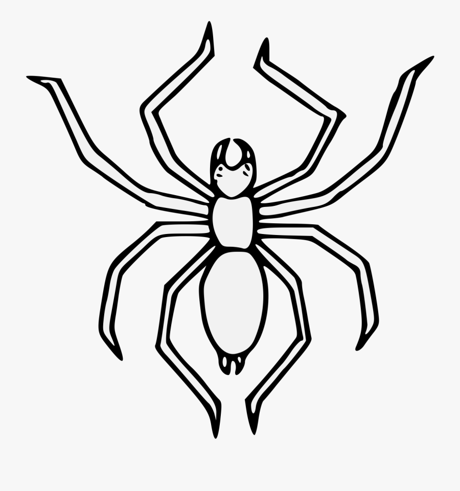 Spider Pdf, Transparent Clipart