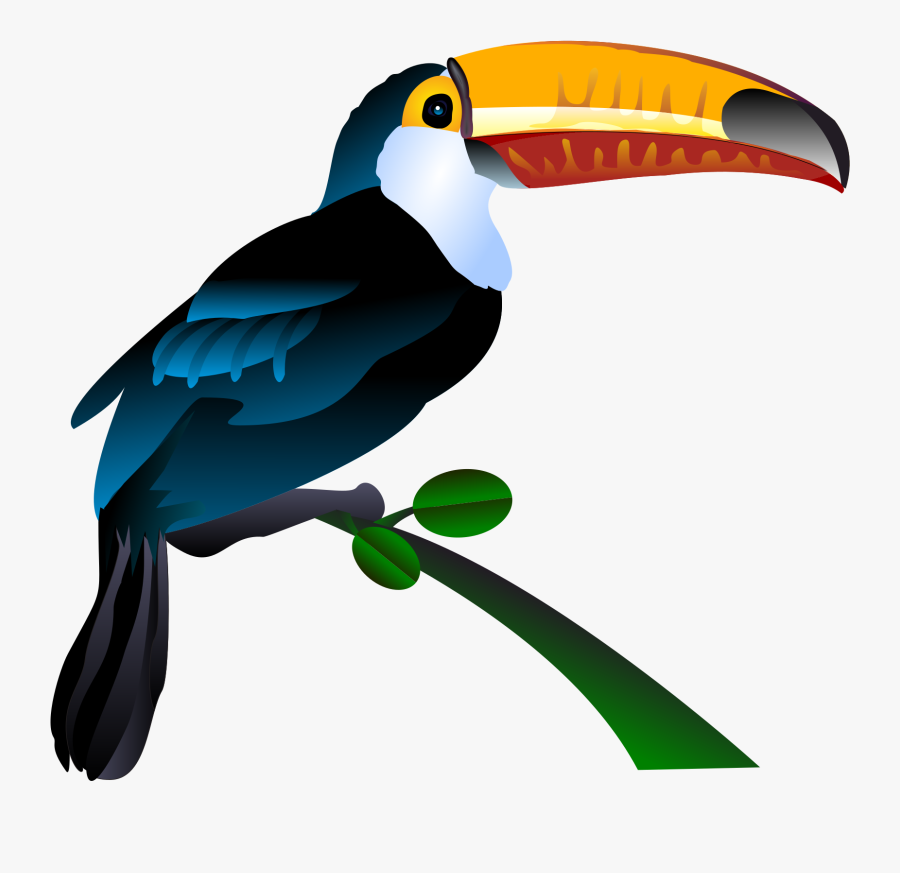 Toucan Clipart Rainforest Flower - Tucano Png, Transparent Clipart