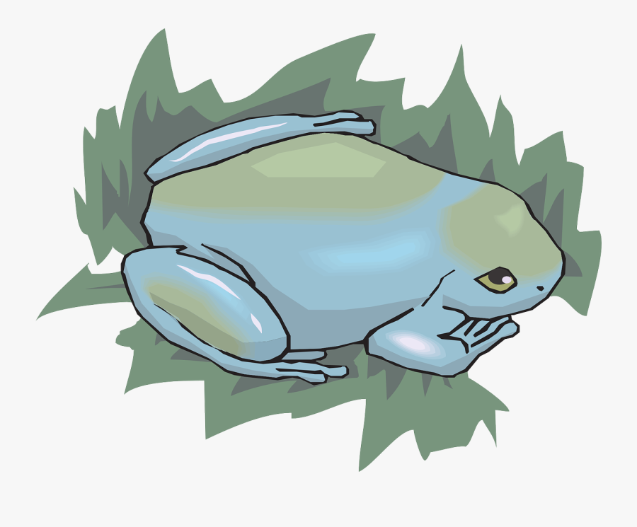 Frog Amphibian Rainforest Free Picture - Frog, Transparent Clipart