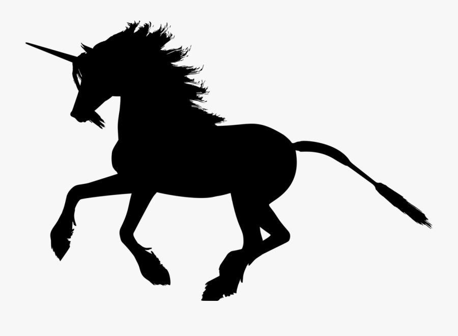 English Riding,pony,livestock, Transparent Clipart