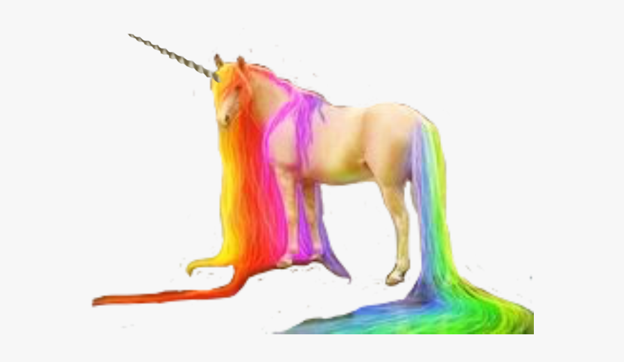 #unicorn #horn #unicornhorn #rainbow #rainbowunicorn - Unicorn Horn, Transparent Clipart