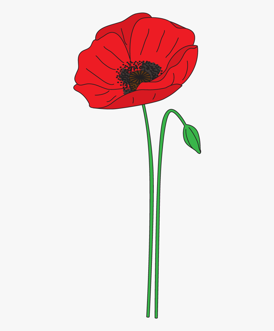 Graphic Freeuse Download Collection Of Anzac - Ww1 Poppy Clip Art, Transparent Clipart