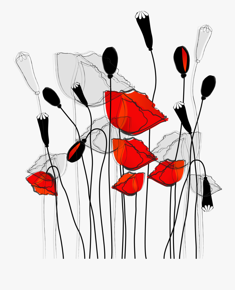 Clip Art Poppy Illustration - White Black And Red Shower Curtain, Transparent Clipart