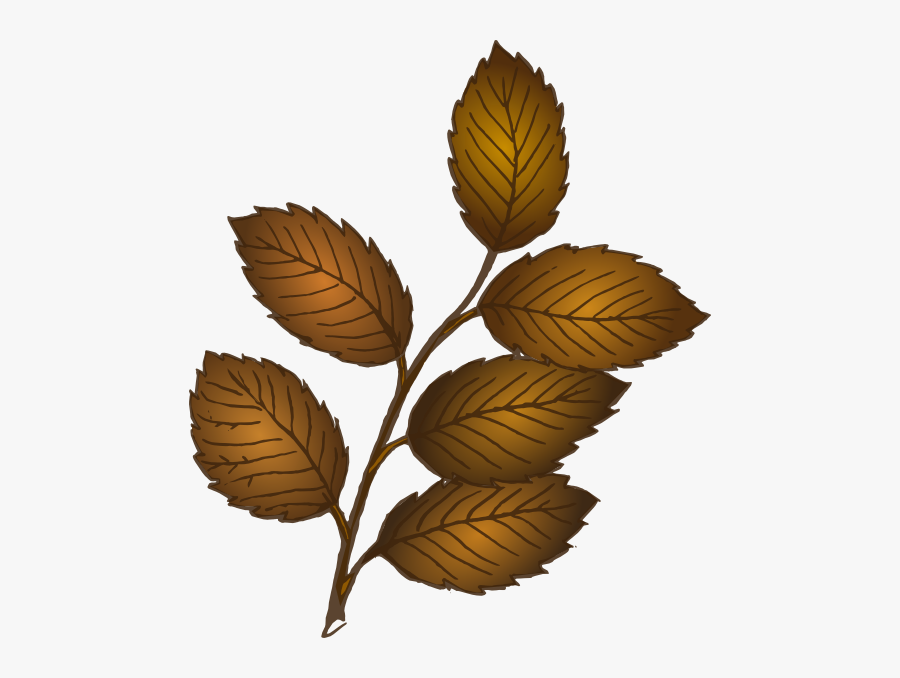 Brown Leaf Vector Png, Transparent Clipart