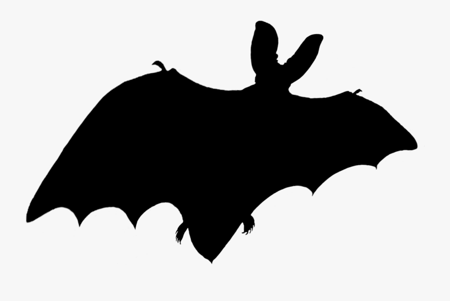 Bat Shadow - Illustration , Free Transparent Clipart - ClipartKey