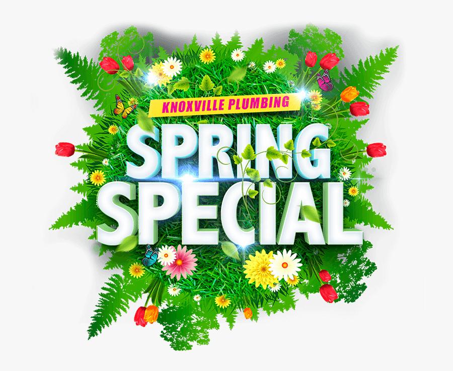 Spring Cleaning Special, Transparent Clipart