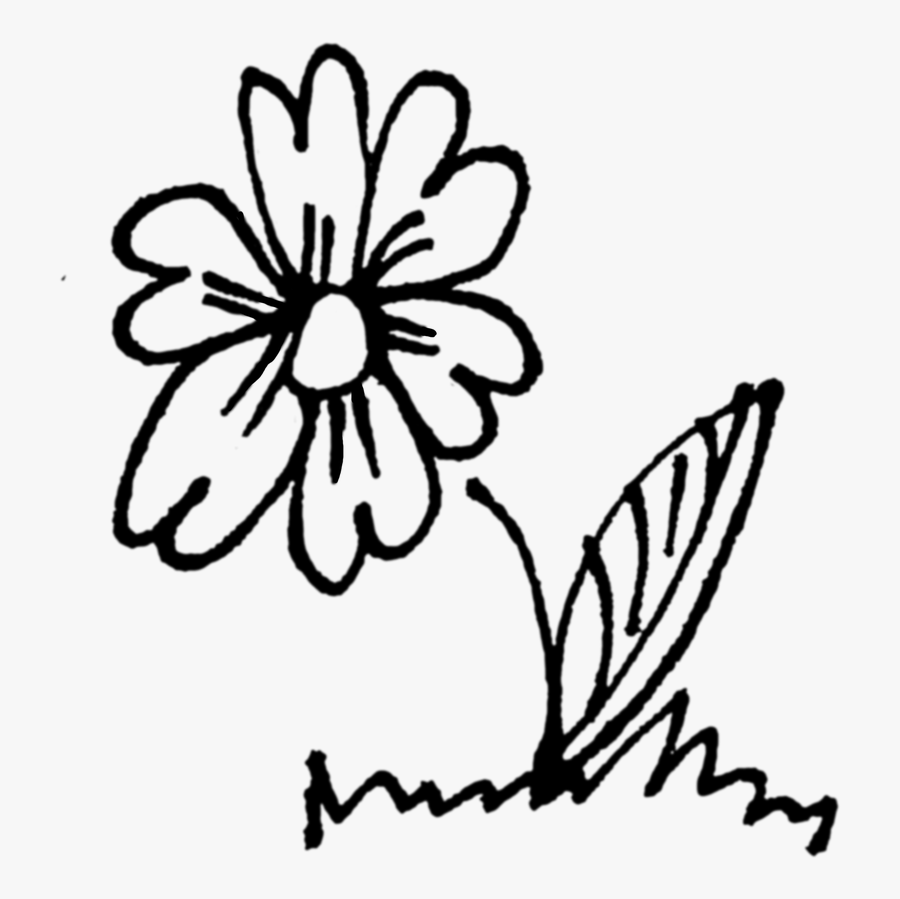 Flower, Plant, Plants, Nature, Flowers - Natural Drawing Garden Flowers, Transparent Clipart
