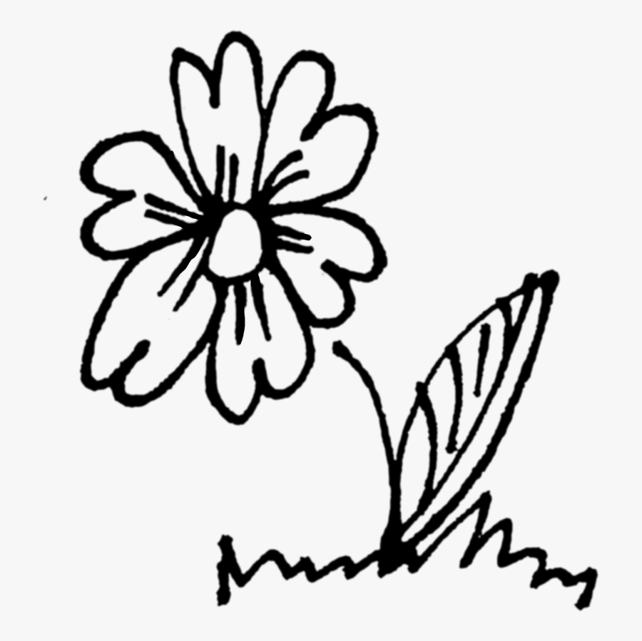 Flower, Plant, Plants, Nature, Flowers - Natural Drawing Garden Flowers 