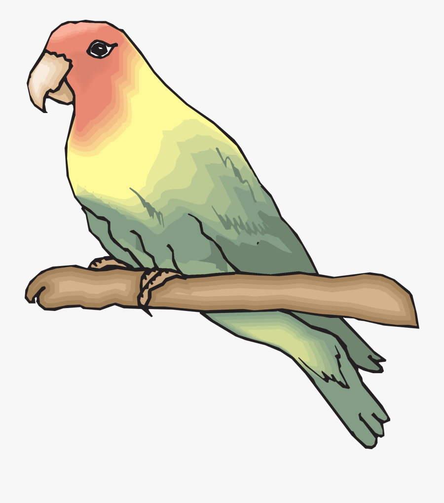 Burung Animasi Love Bird, Transparent Clipart