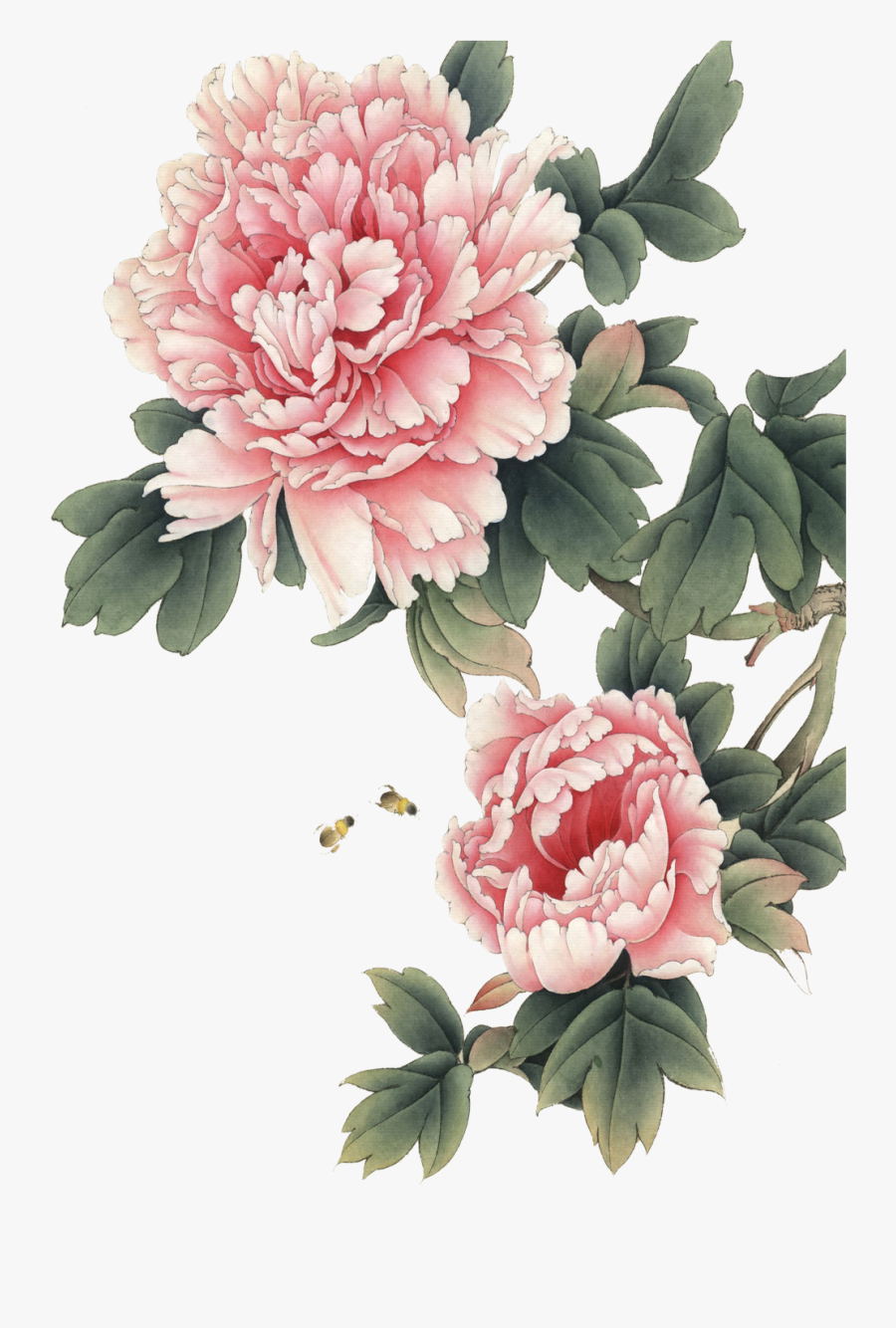 Gongbi Art Transprent Png Free Download Plant - Chinese Peony Painting, Transparent Clipart