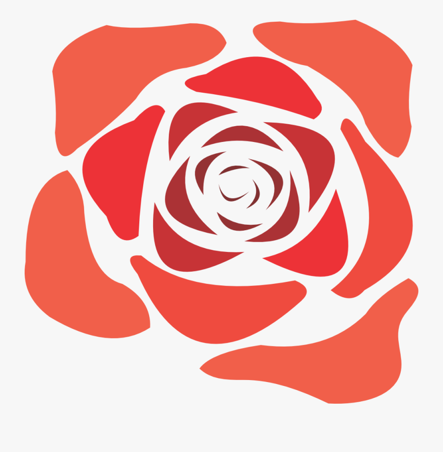 Rose,red,garden Roses,clip Art,flower,petal,rose Family,plant,hybrid - Rose Free Vector Png, Transparent Clipart