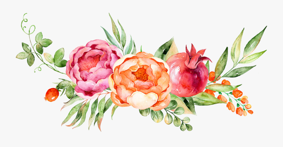 Watercolor Peony Transparent Background, Transparent Clipart