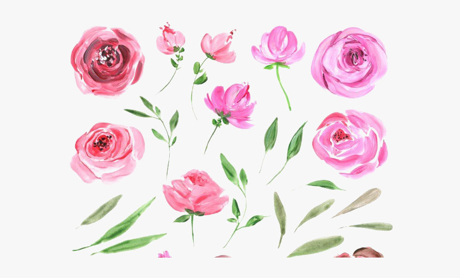 Peonies Free Png Image - Watercolor Peony Png Watercolor Clipart Transparent, Transparent Clipart