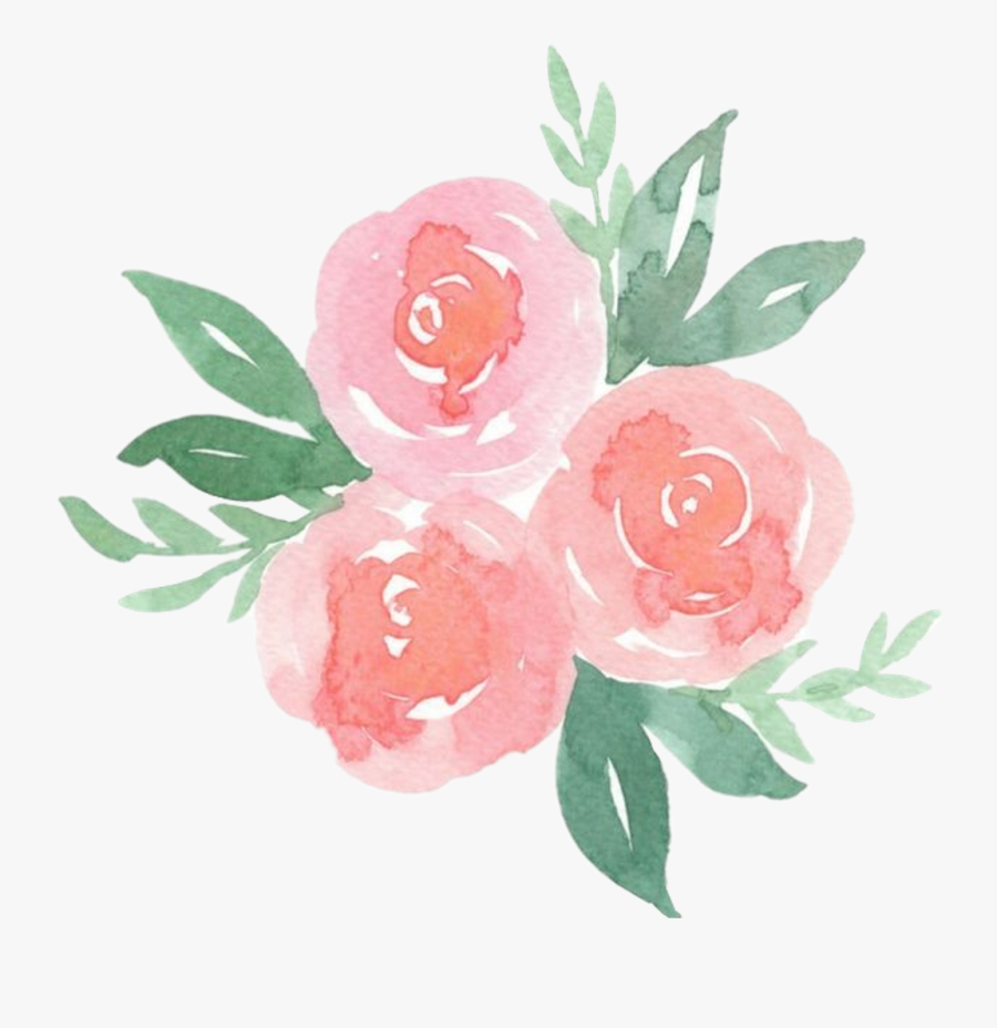 Scrose Rose Cute Aesthetic Pastel Pretty Flower Aesthetic