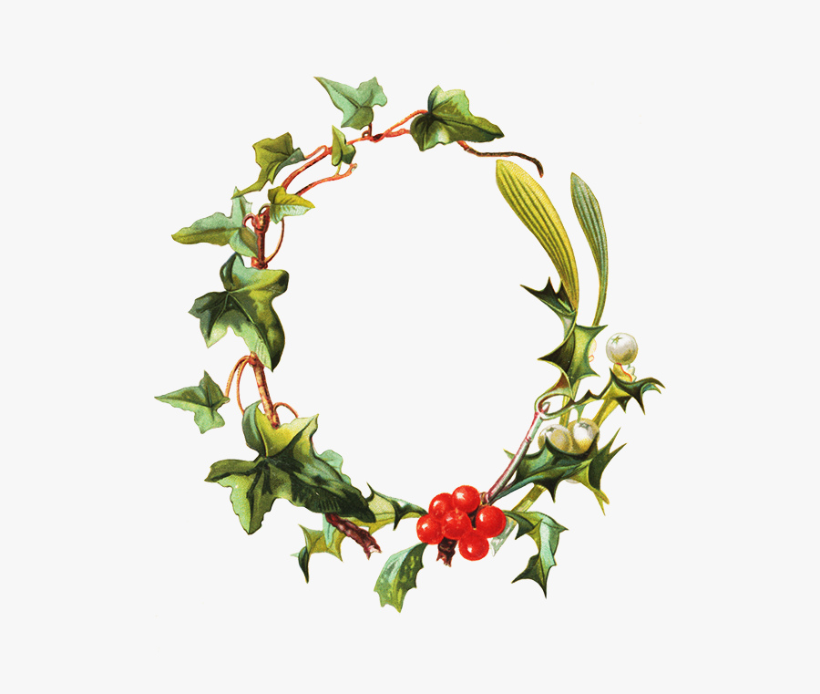 Christmas Holy Frame, Frame Holy Mistletoe Ivy - Clip Art, Transparent Clipart