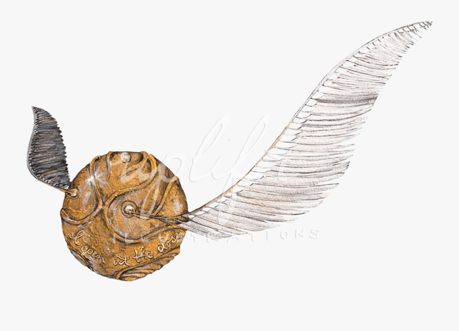 Transparent Golden Snitch Png, Transparent Clipart