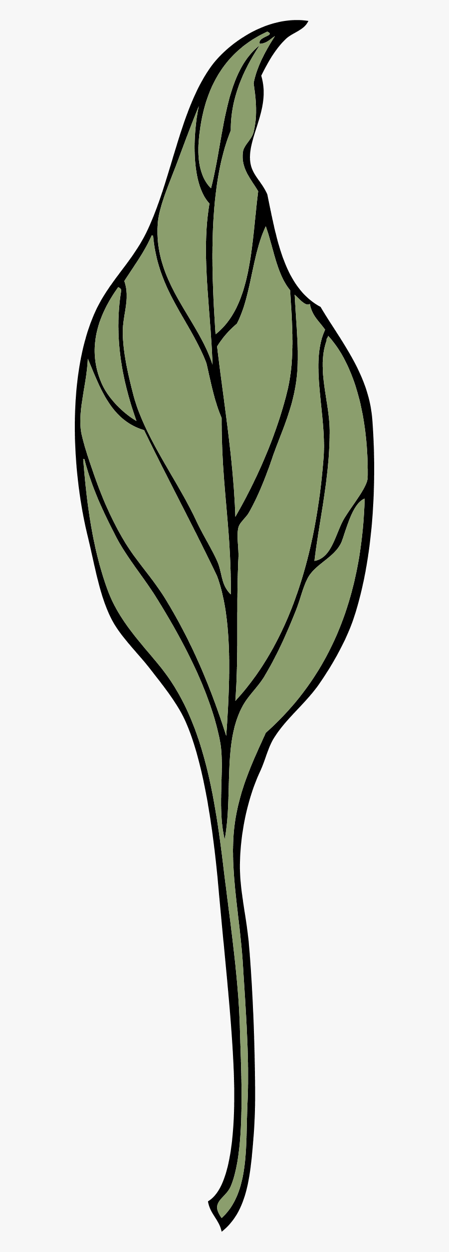 Ivy Leaf - Clip Art, Transparent Clipart