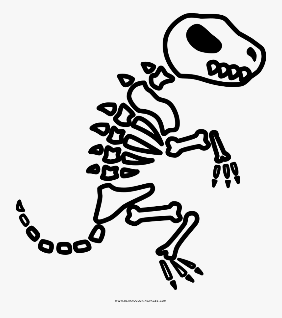 Dinosaur Fossil Coloring Page - Dinosaur Fossil Icon, Transparent Clipart