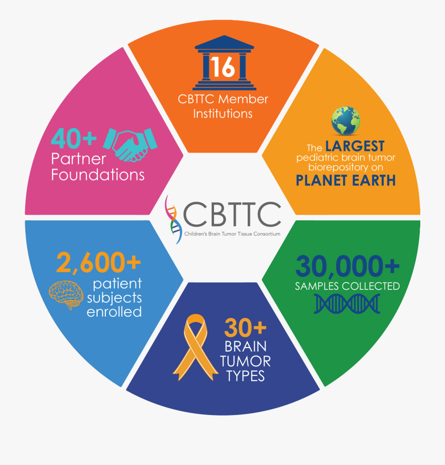 Cbttc Infographic - Hero's Journey Archetypes, Transparent Clipart