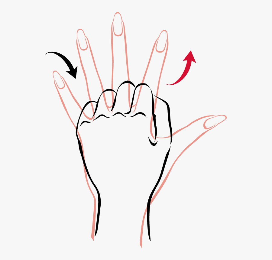 Transparent Hand Fist Png - Finger Stretches Clip Art, Transparent Clipart